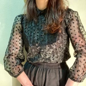 Sheer button up